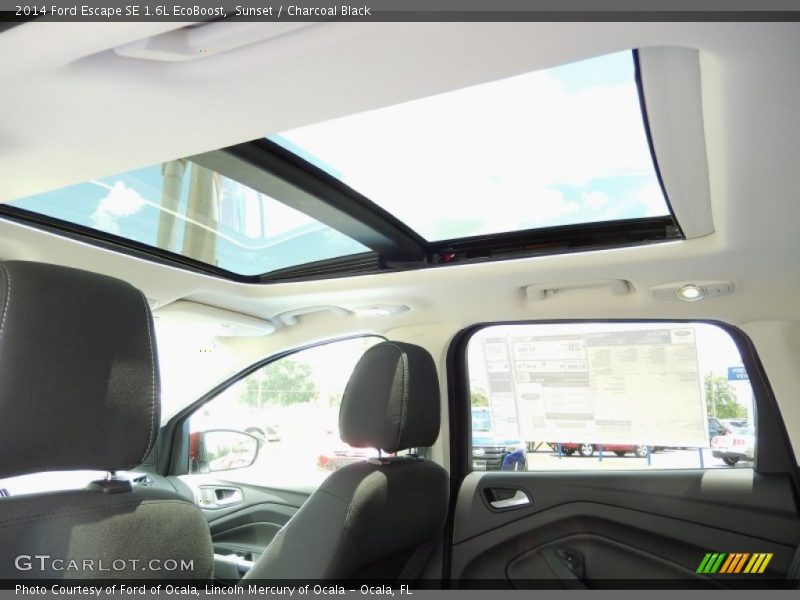 Sunset / Charcoal Black 2014 Ford Escape SE 1.6L EcoBoost