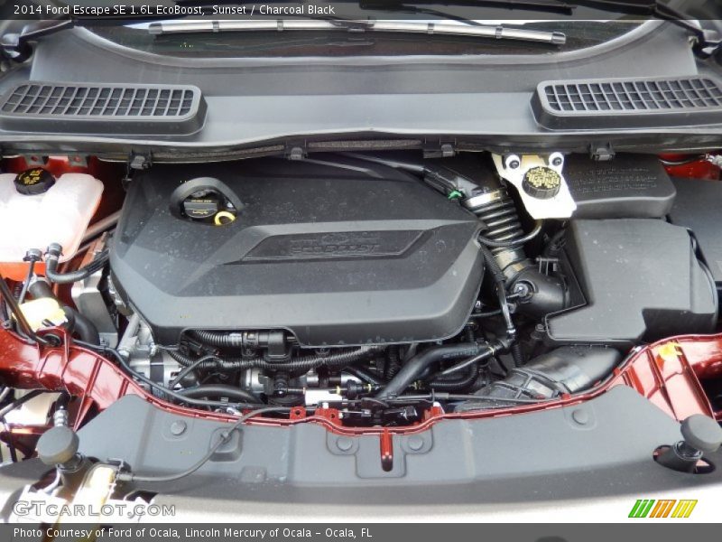 Sunset / Charcoal Black 2014 Ford Escape SE 1.6L EcoBoost
