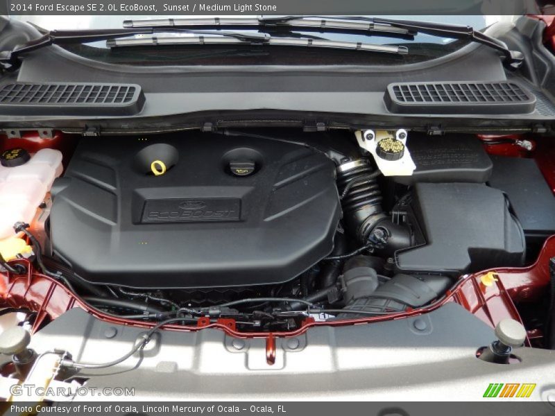 Sunset / Medium Light Stone 2014 Ford Escape SE 2.0L EcoBoost