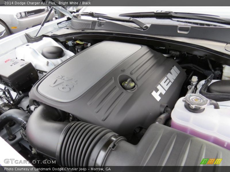 Bright White / Black 2014 Dodge Charger R/T Plus