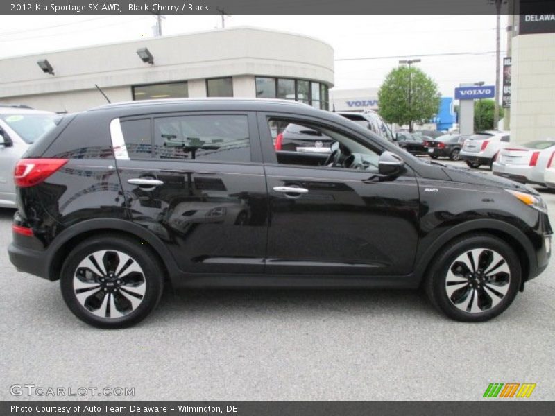 Black Cherry / Black 2012 Kia Sportage SX AWD