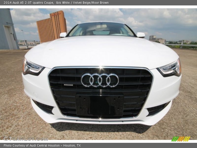 Ibis White / Velvet Beige/Moor Brown 2014 Audi A5 2.0T quattro Coupe