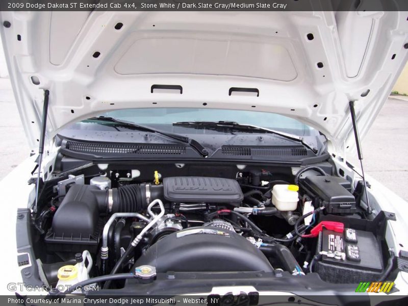 Stone White / Dark Slate Gray/Medium Slate Gray 2009 Dodge Dakota ST Extended Cab 4x4