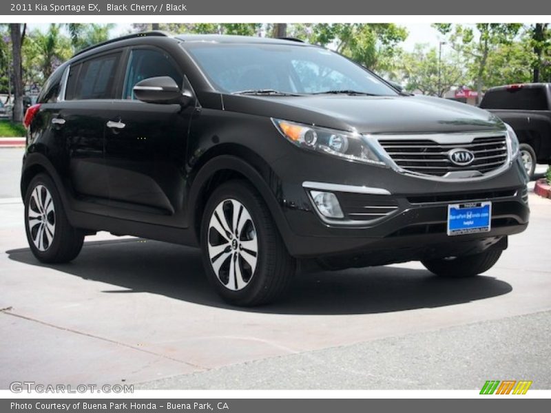 Black Cherry / Black 2011 Kia Sportage EX