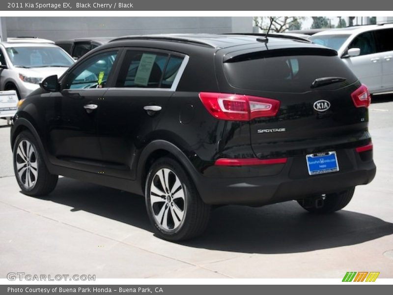 Black Cherry / Black 2011 Kia Sportage EX
