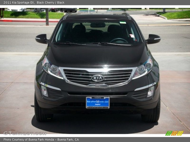 Black Cherry / Black 2011 Kia Sportage EX