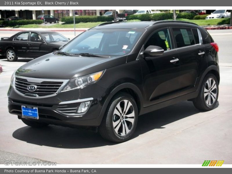 Black Cherry / Black 2011 Kia Sportage EX
