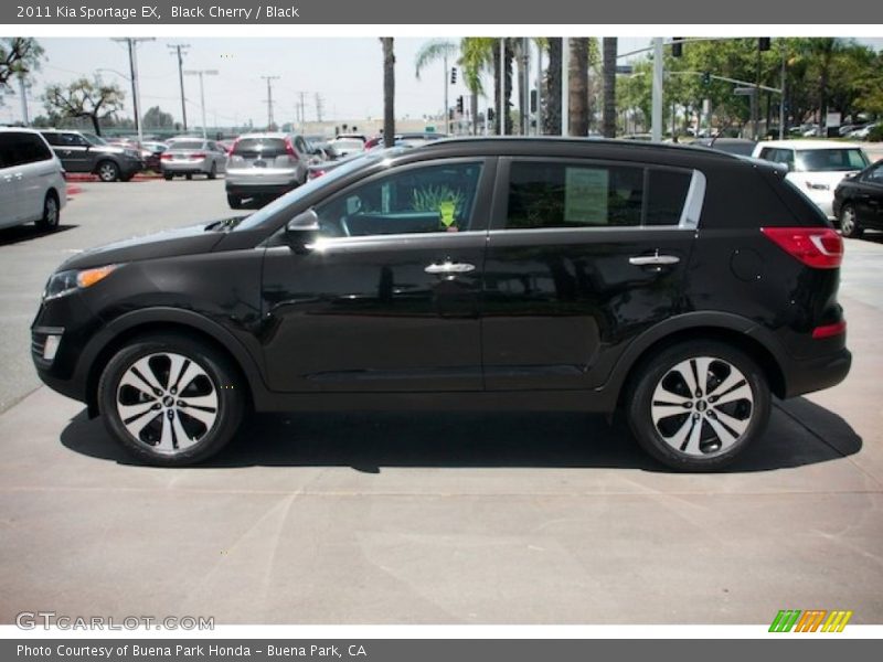 Black Cherry / Black 2011 Kia Sportage EX