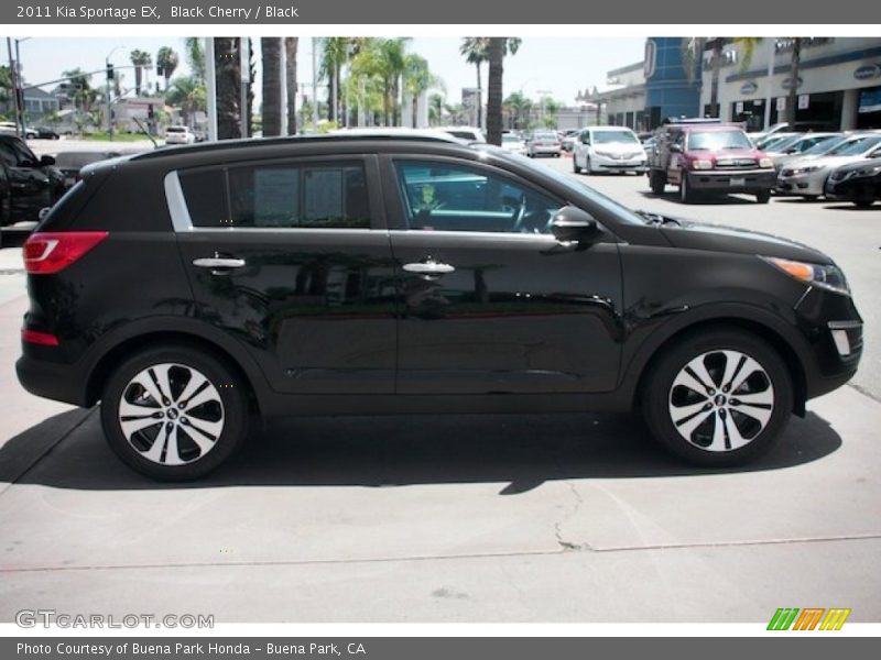 Black Cherry / Black 2011 Kia Sportage EX