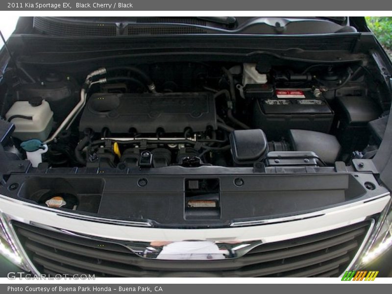 Black Cherry / Black 2011 Kia Sportage EX
