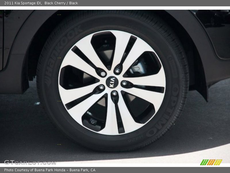 Black Cherry / Black 2011 Kia Sportage EX