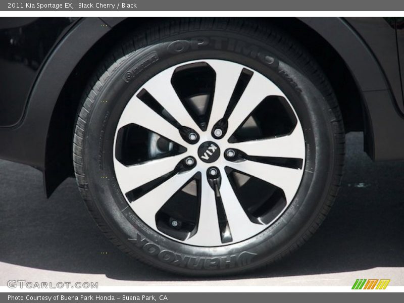 Black Cherry / Black 2011 Kia Sportage EX