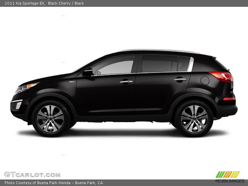 Black Cherry / Black 2011 Kia Sportage EX