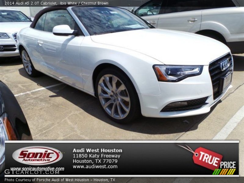 Ibis White / Chestnut Brown 2014 Audi A5 2.0T Cabriolet