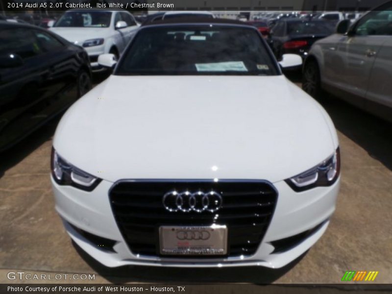 Ibis White / Chestnut Brown 2014 Audi A5 2.0T Cabriolet