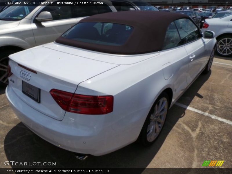 Ibis White / Chestnut Brown 2014 Audi A5 2.0T Cabriolet