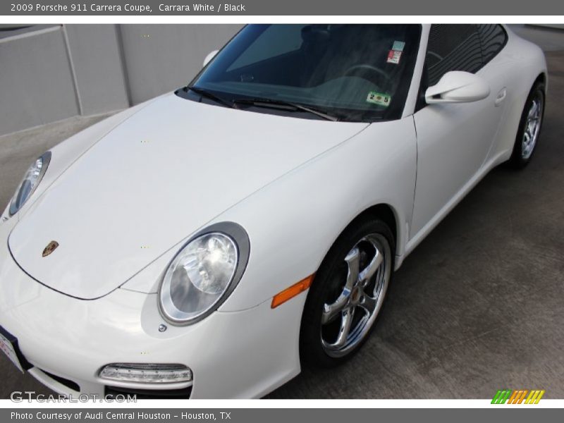 Carrara White / Black 2009 Porsche 911 Carrera Coupe