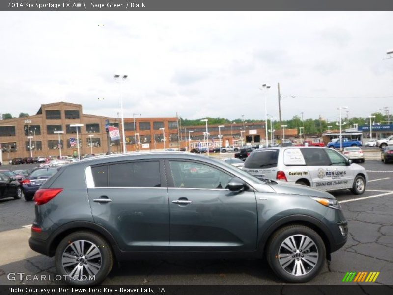 Sage Green / Black 2014 Kia Sportage EX AWD