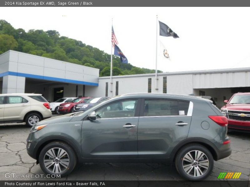 Sage Green / Black 2014 Kia Sportage EX AWD