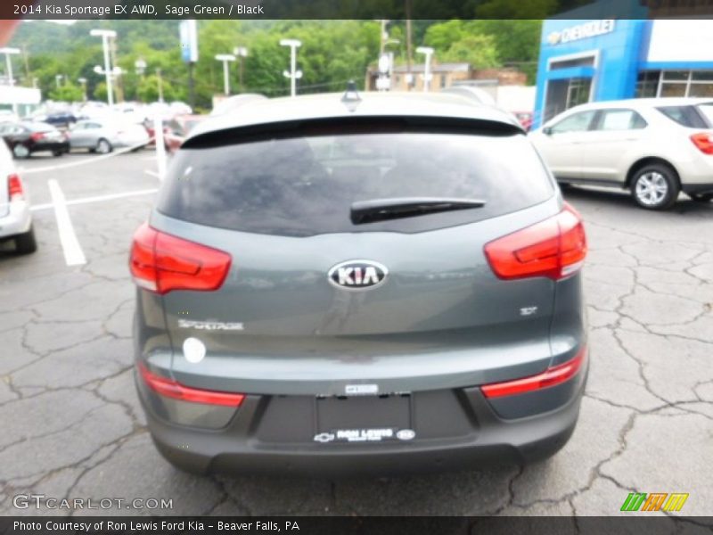 Sage Green / Black 2014 Kia Sportage EX AWD