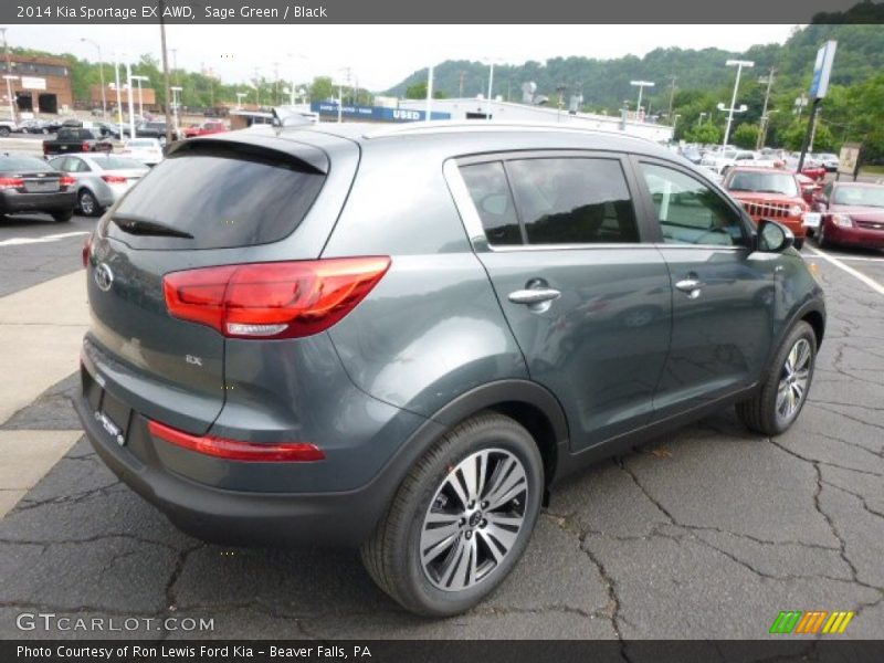 Sage Green / Black 2014 Kia Sportage EX AWD