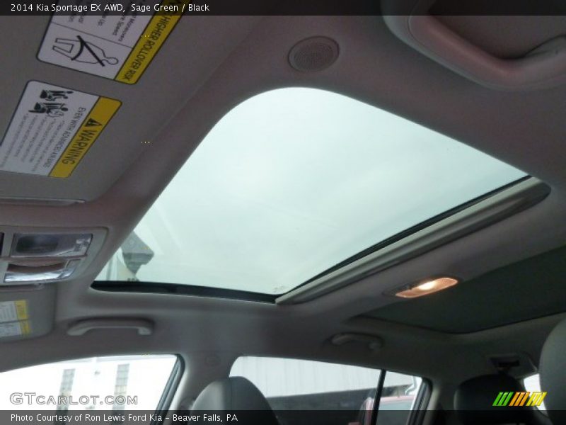 Sage Green / Black 2014 Kia Sportage EX AWD