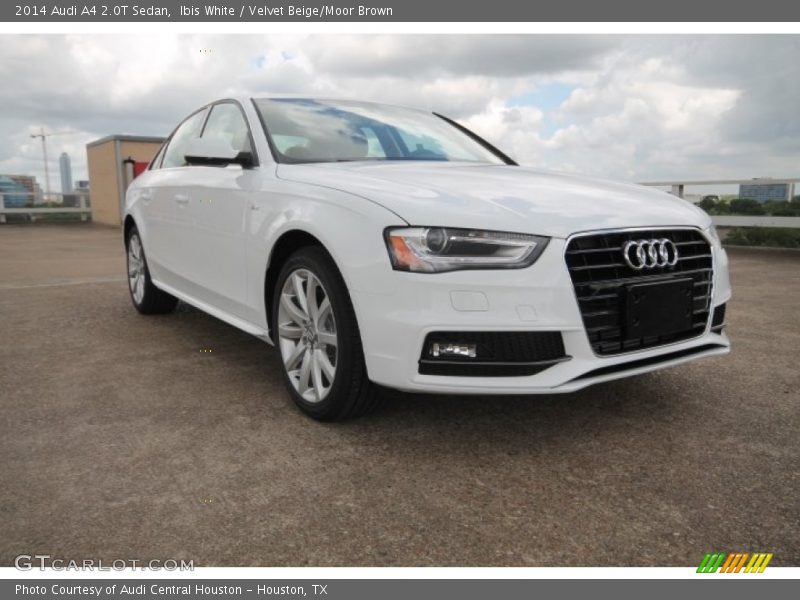 Ibis White / Velvet Beige/Moor Brown 2014 Audi A4 2.0T Sedan