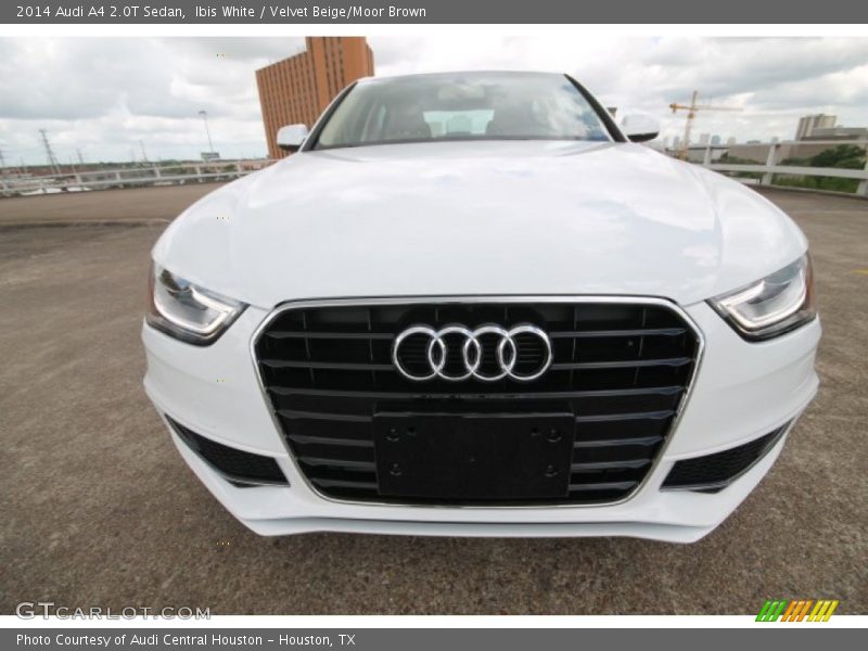 Ibis White / Velvet Beige/Moor Brown 2014 Audi A4 2.0T Sedan