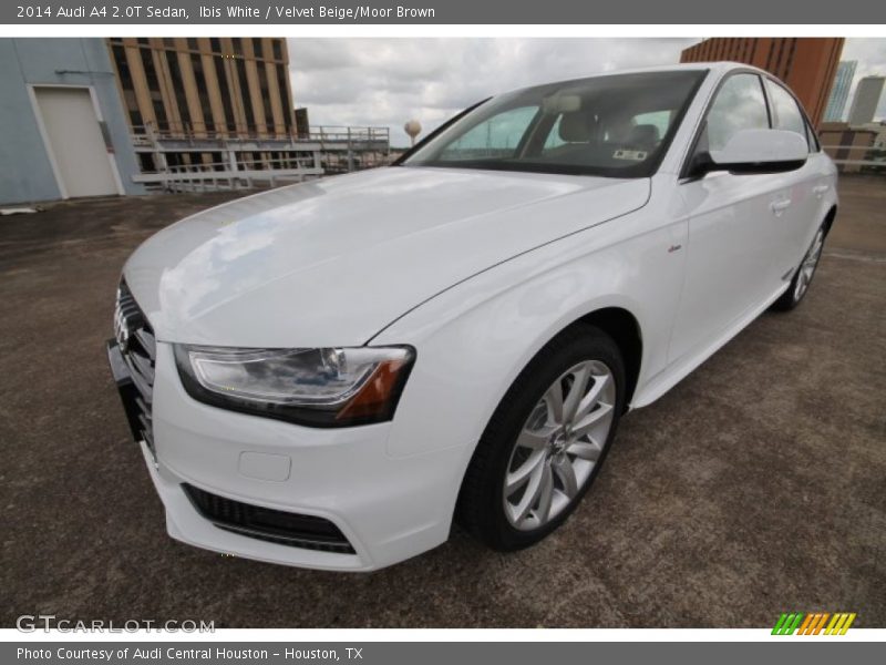 Ibis White / Velvet Beige/Moor Brown 2014 Audi A4 2.0T Sedan