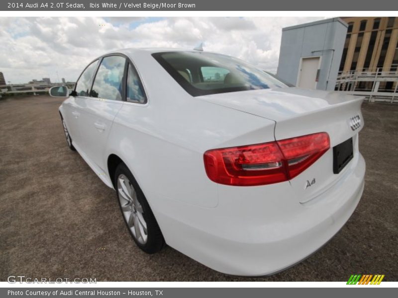 Ibis White / Velvet Beige/Moor Brown 2014 Audi A4 2.0T Sedan