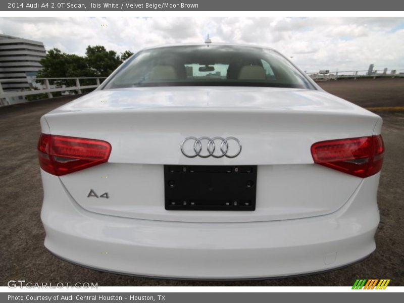 Ibis White / Velvet Beige/Moor Brown 2014 Audi A4 2.0T Sedan