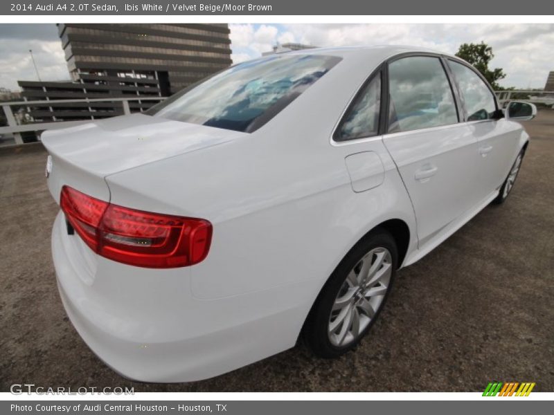 Ibis White / Velvet Beige/Moor Brown 2014 Audi A4 2.0T Sedan