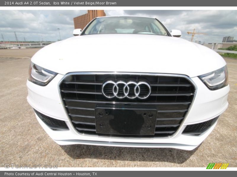 Ibis White / Velvet Beige/Moor Brown 2014 Audi A4 2.0T Sedan