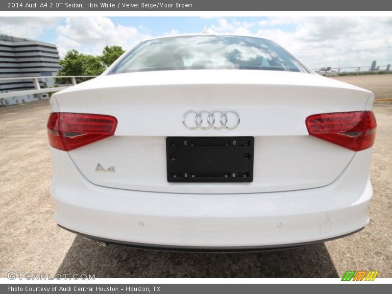 Ibis White / Velvet Beige/Moor Brown 2014 Audi A4 2.0T Sedan