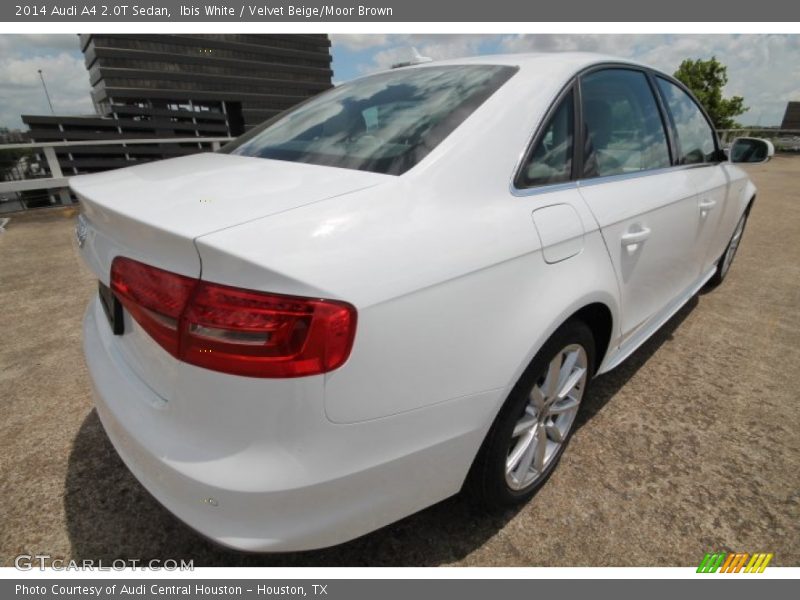 Ibis White / Velvet Beige/Moor Brown 2014 Audi A4 2.0T Sedan