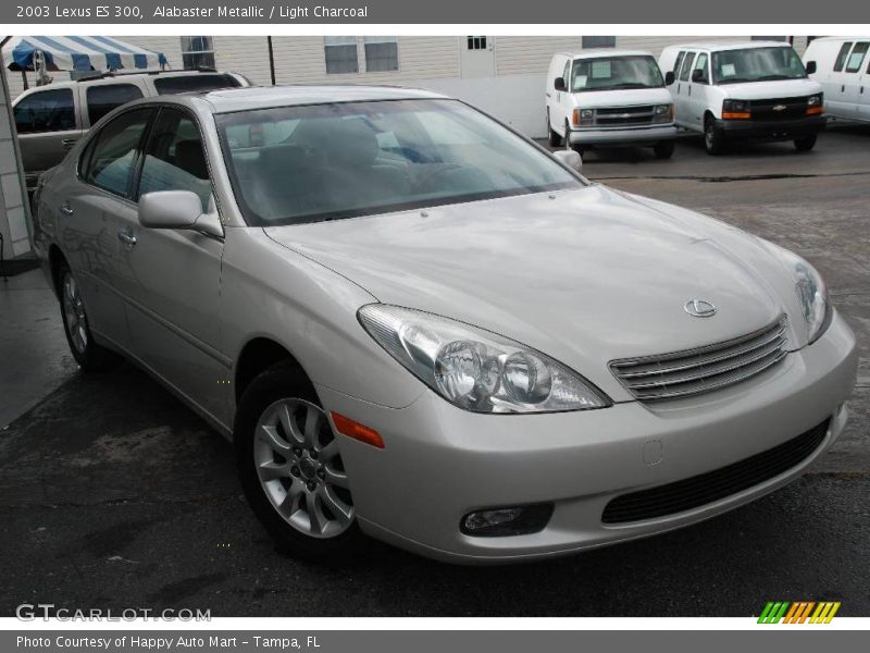 Alabaster Metallic / Light Charcoal 2003 Lexus ES 300