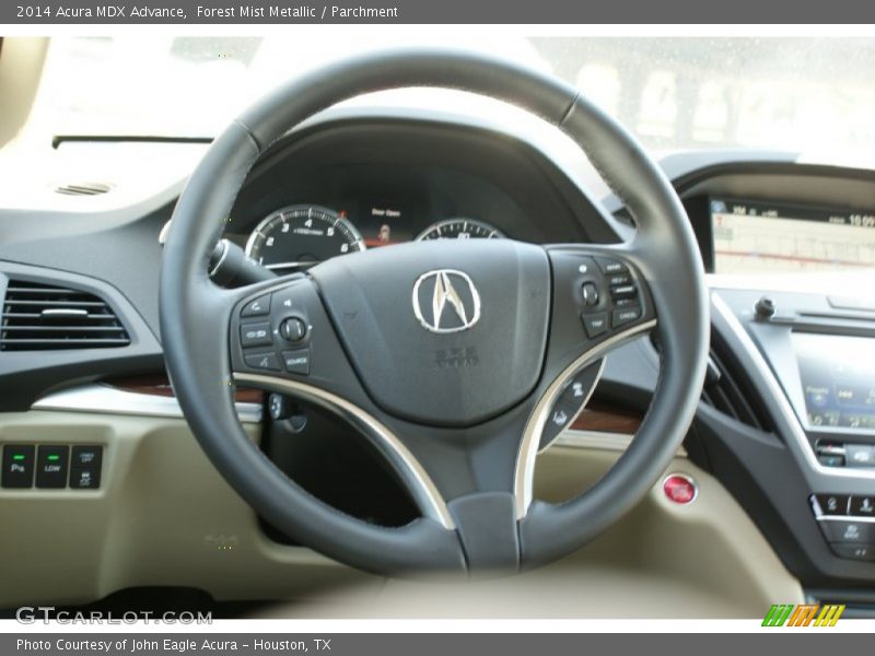 Forest Mist Metallic / Parchment 2014 Acura MDX Advance