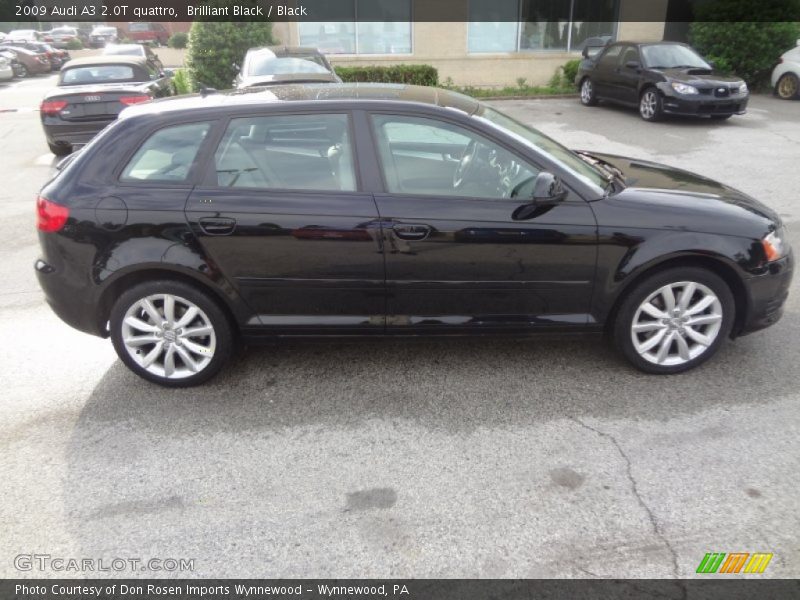 Brilliant Black / Black 2009 Audi A3 2.0T quattro