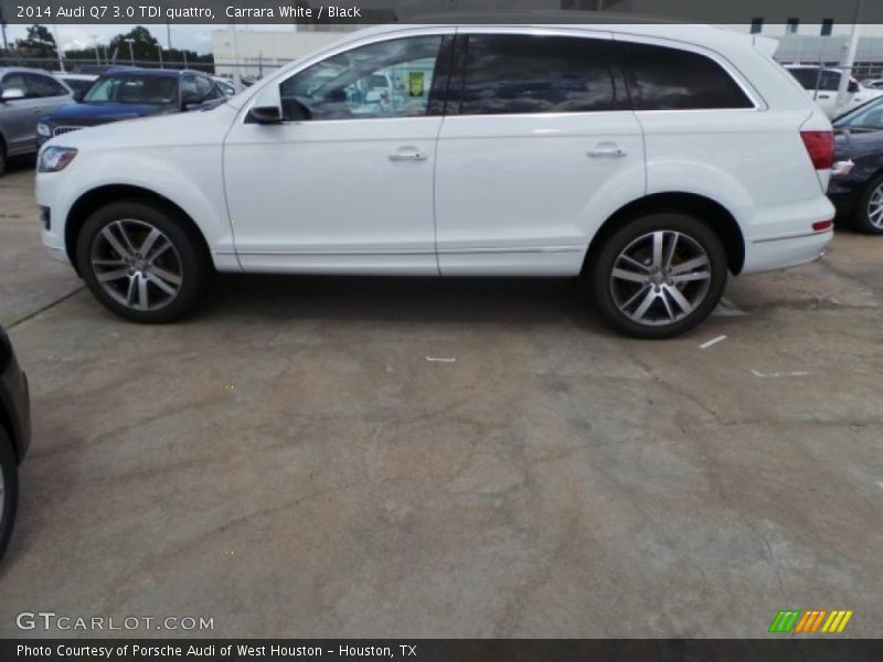 Carrara White / Black 2014 Audi Q7 3.0 TDI quattro
