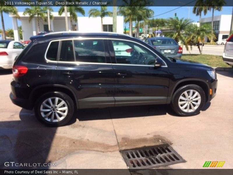 Deep Black Metallic / Charcoal 2011 Volkswagen Tiguan SE