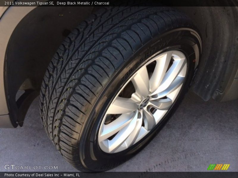 Deep Black Metallic / Charcoal 2011 Volkswagen Tiguan SE