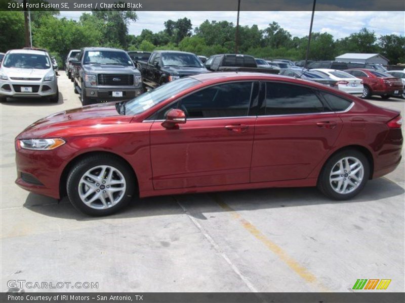 Sunset / Charcoal Black 2014 Ford Fusion SE