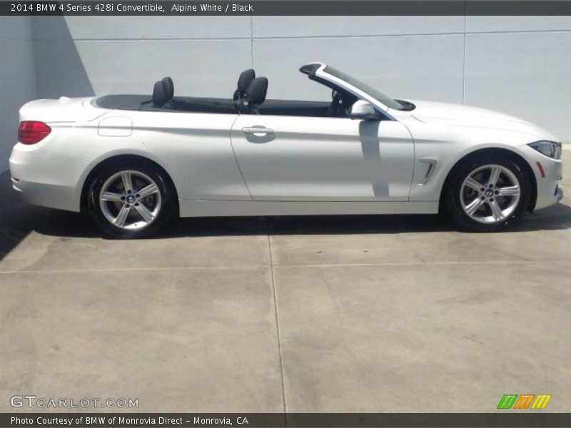 Alpine White / Black 2014 BMW 4 Series 428i Convertible