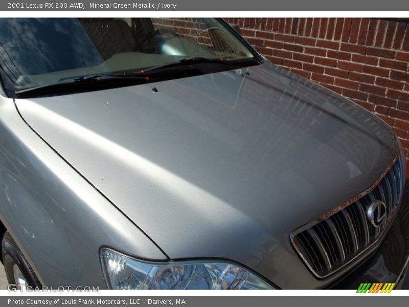 Mineral Green Metallic / Ivory 2001 Lexus RX 300 AWD