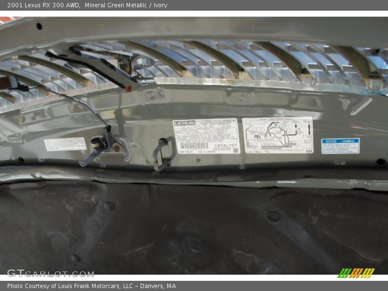 Mineral Green Metallic / Ivory 2001 Lexus RX 300 AWD