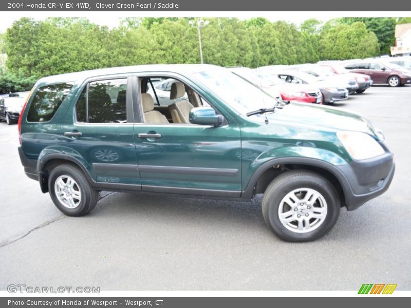 Clover Green Pearl / Saddle 2004 Honda CR-V EX 4WD