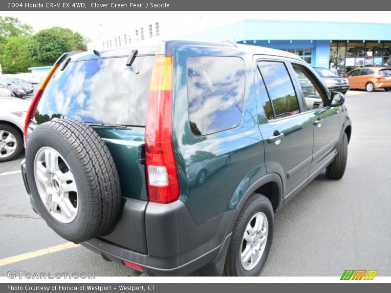 Clover Green Pearl / Saddle 2004 Honda CR-V EX 4WD