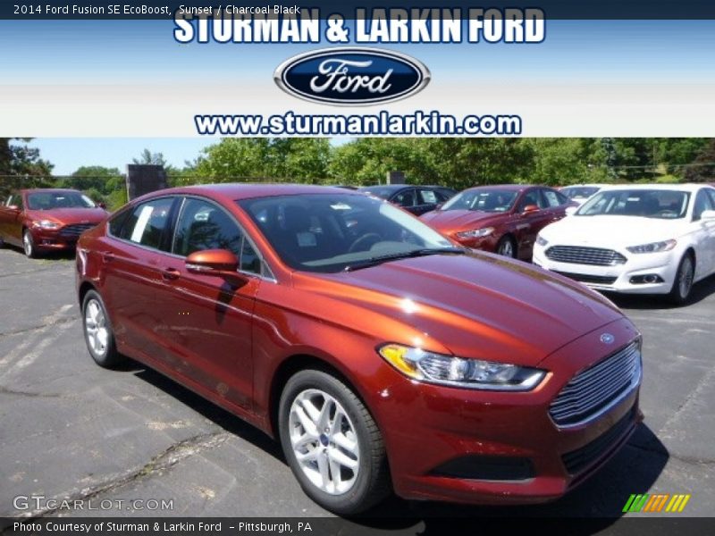 Sunset / Charcoal Black 2014 Ford Fusion SE EcoBoost
