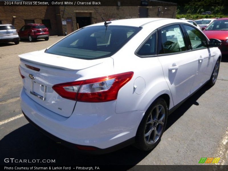 Oxford White / Charcoal Black 2014 Ford Focus SE Sedan