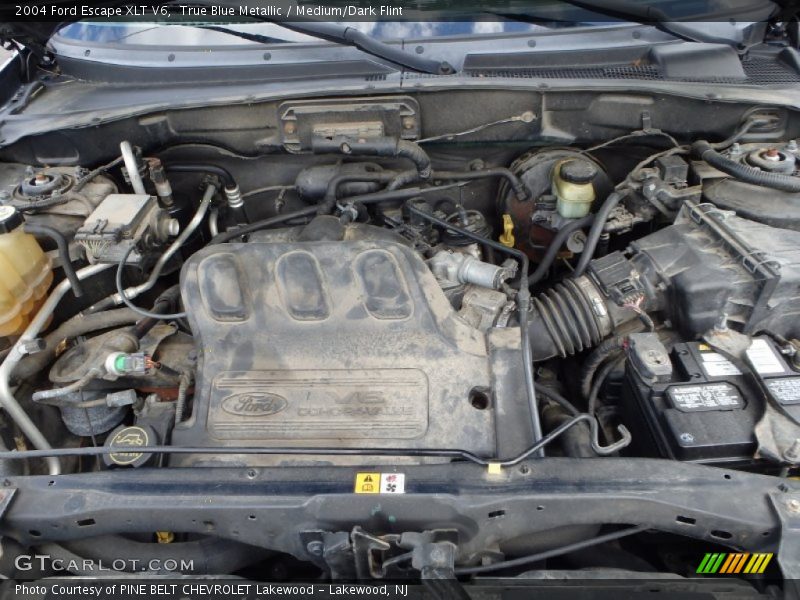True Blue Metallic / Medium/Dark Flint 2004 Ford Escape XLT V6